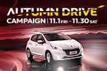 AUTUMN DRIVE CAMPAIGN_サムネール