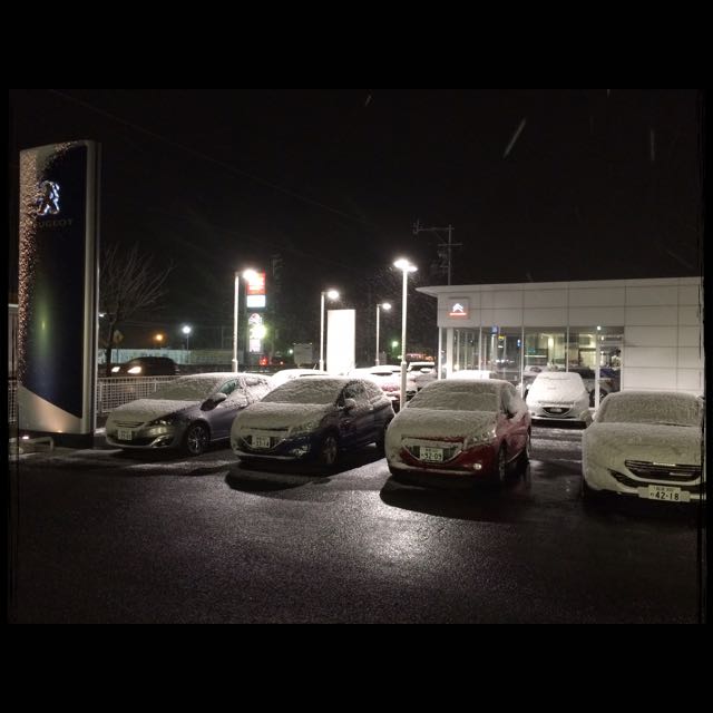 初雪・・・
