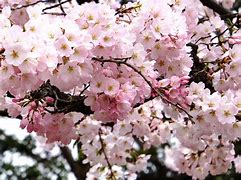 新年度のスタートです！