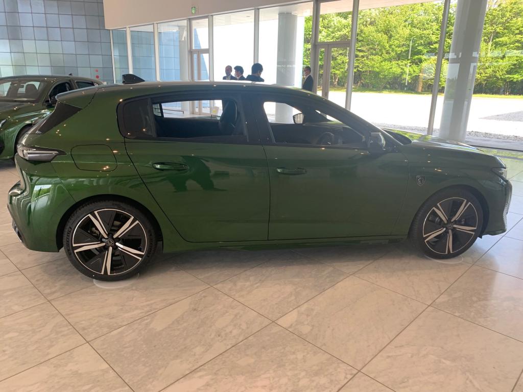NEW308、じっくり