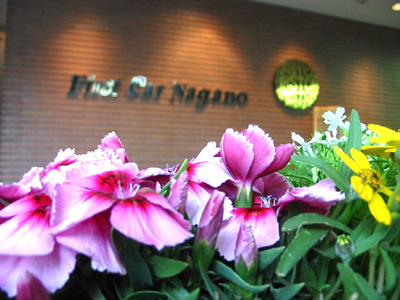 ニャがの日和。。。１