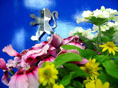 ニャがの日和。。。１