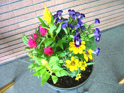 にゃがの日和。。。2