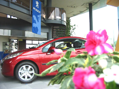 にゃがの日和。。。３