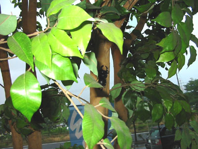 なっ…なにぃ？！