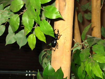 なっ…なにぃ？！