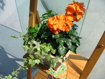 お盆休みのお知らせ