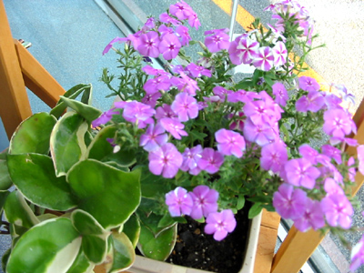 お盆休みのお知らせ