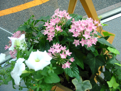 お盆休みのお知らせ