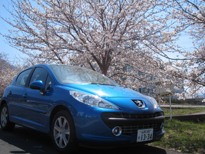 ＊桜＊