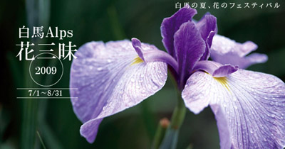 ＊＊＊花三昧＊＊＊