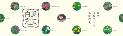 ＊＊＊花三昧＊＊＊