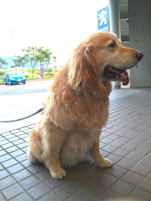 ＊いただきモノ＊