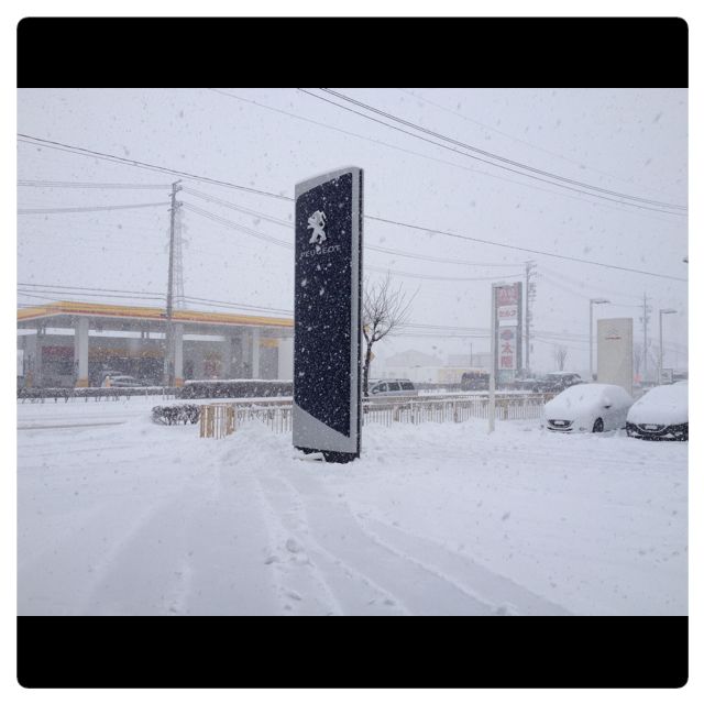 ＊雪道にはご注意を＊