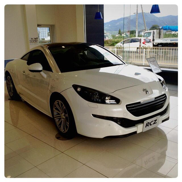 ショールーム展示車のご案内