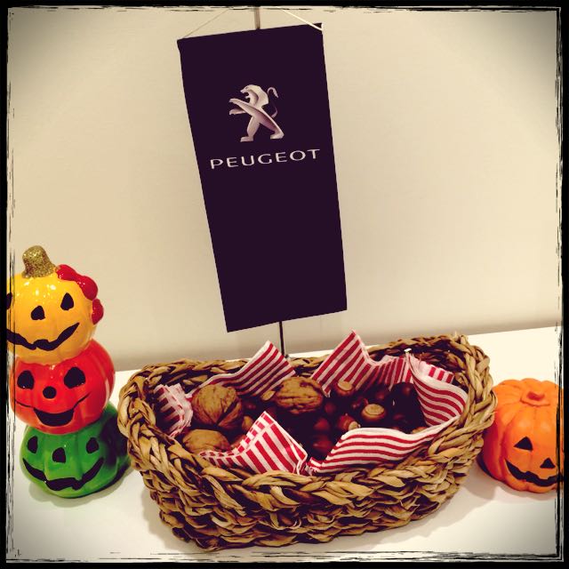 ドングリころころ～☆