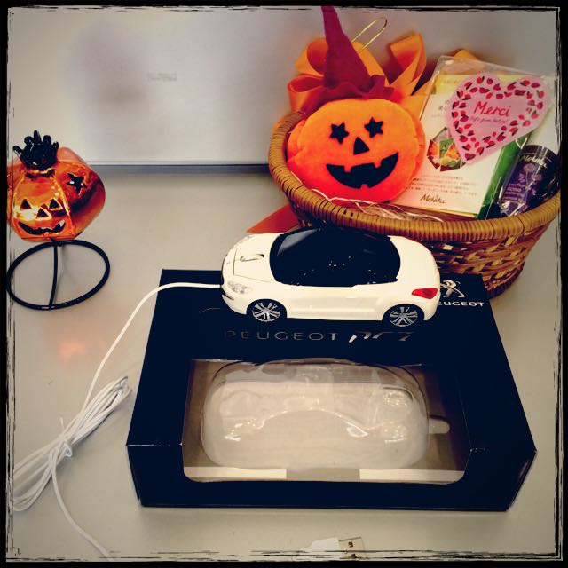 プジョー・メンテナンスキャンペーン☆