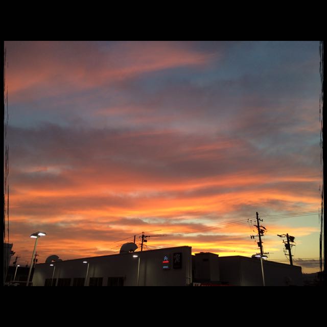 ショールームからの景色