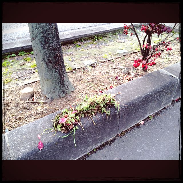 朝のお掃除・・・