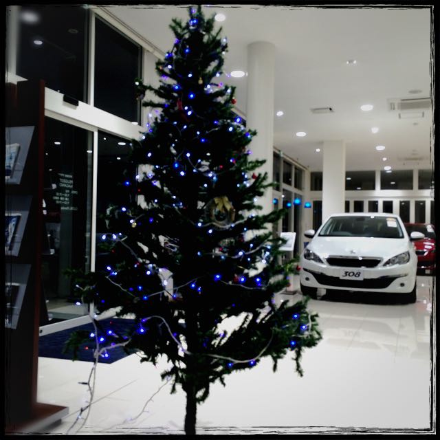 ライオンを探せ♪♪♪