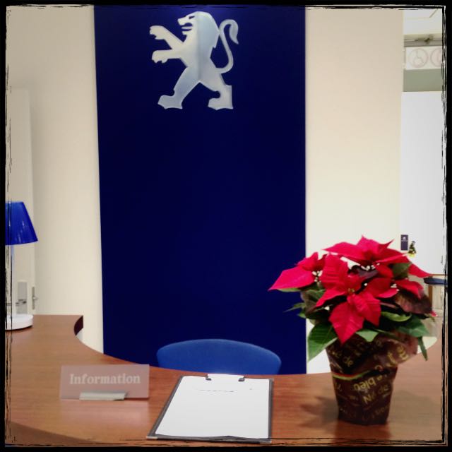 クリスマスフラワー☆