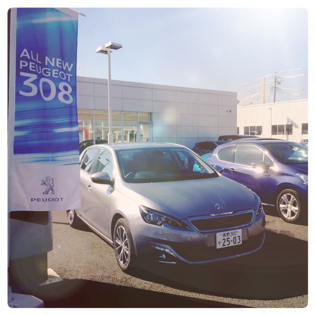 明日からNEW308 デビューフェア!