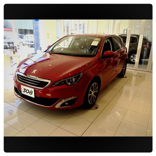 明日からNEW308 デビューフェア!