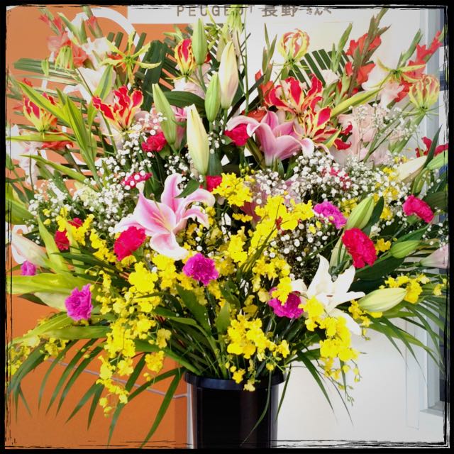 NEW PEUGEOT 308 Début Fair!!