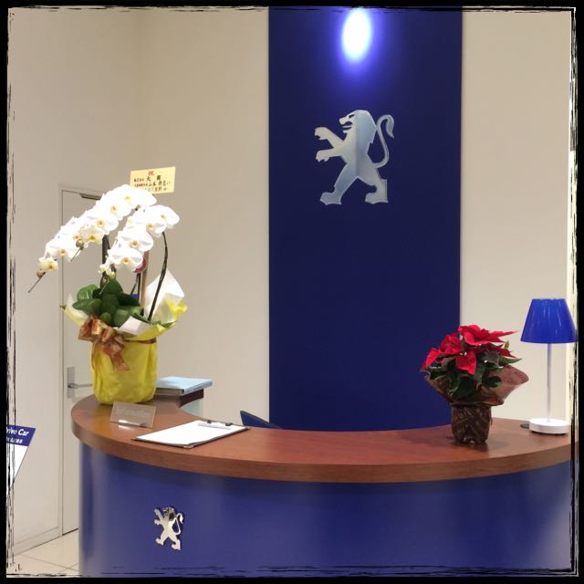 NEW PEUGEOT 308 Début Fair!!