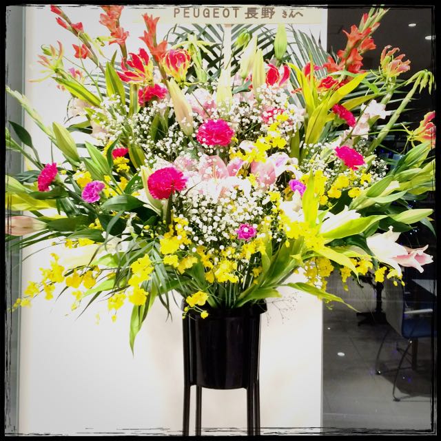 NEW PEUGEOT 308 Début Fair!!