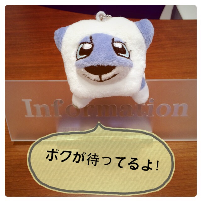 ２/１１（水）建国記念日