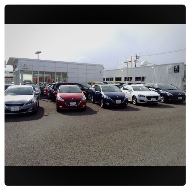 試乗車のご案内☆