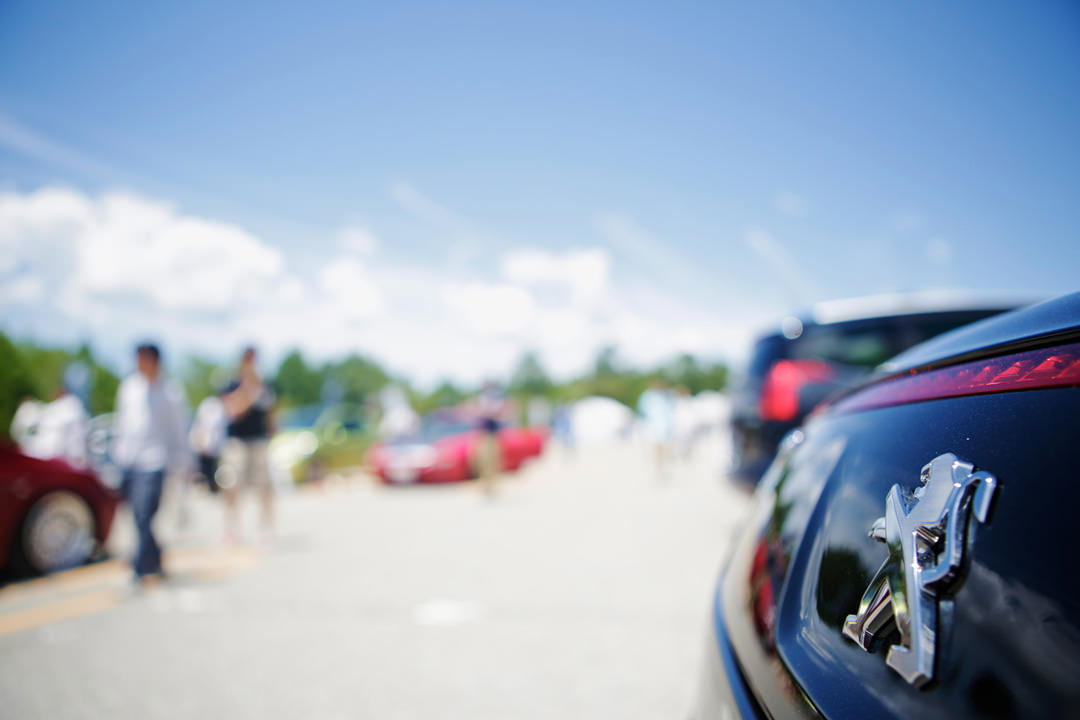 PEUGEOT LION MEETING 2016