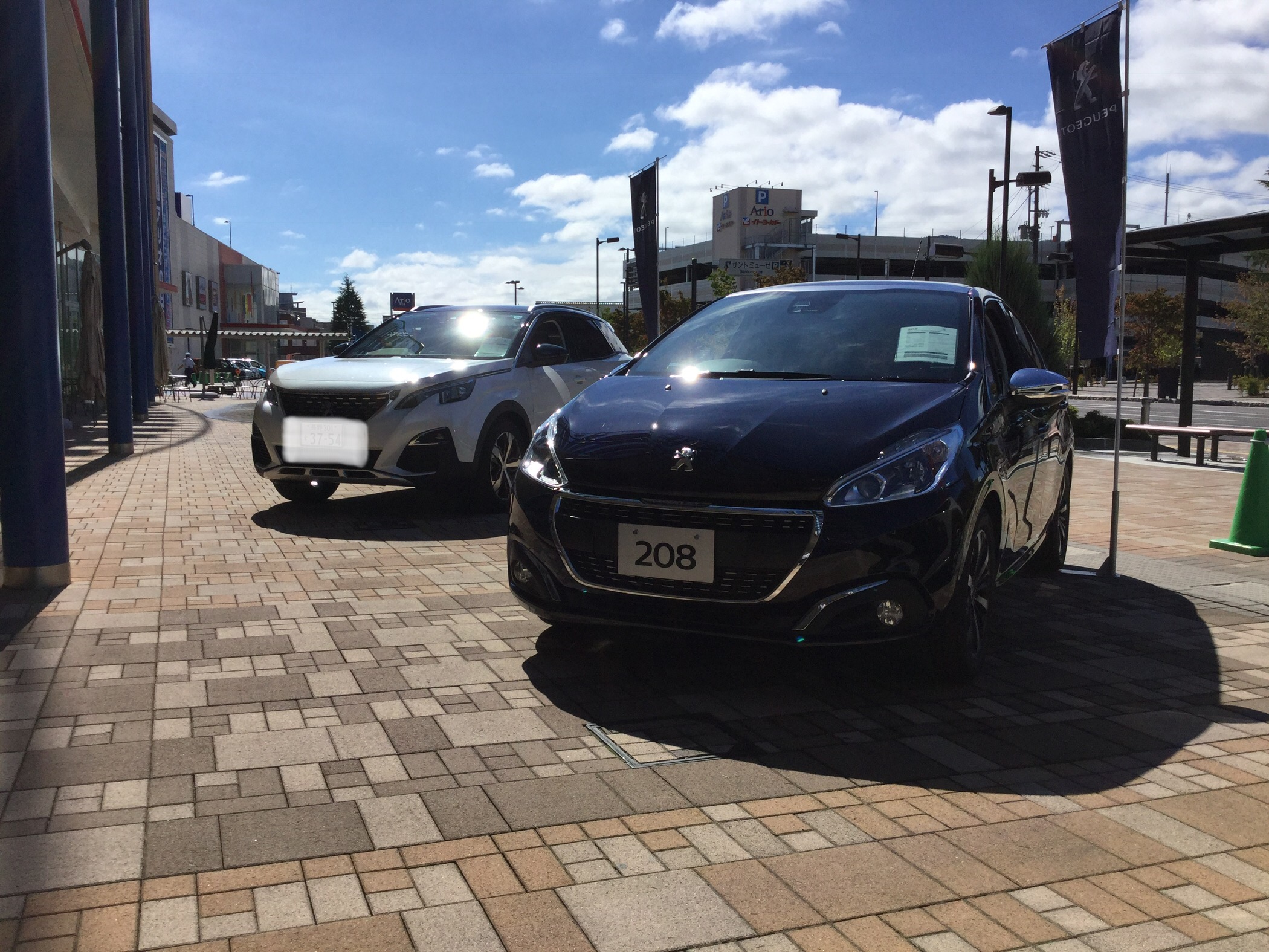 いい天気になりました！