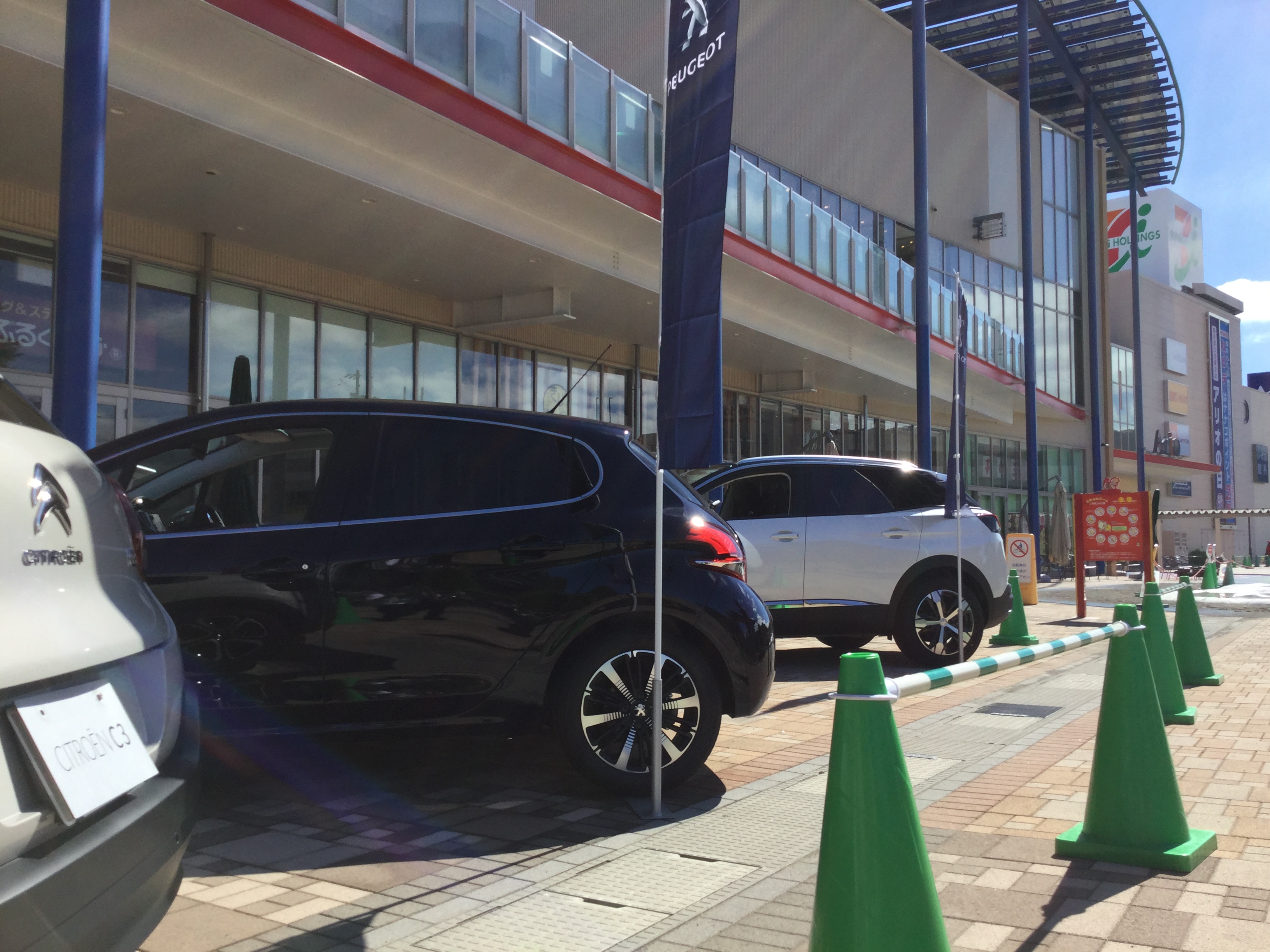 いい天気になりました！