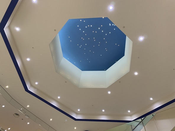 展示会