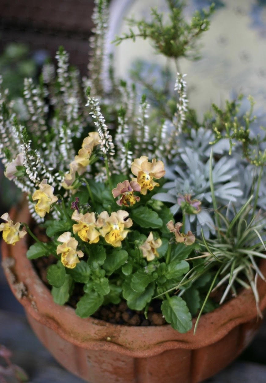 プジョー長野　鉢植え体験