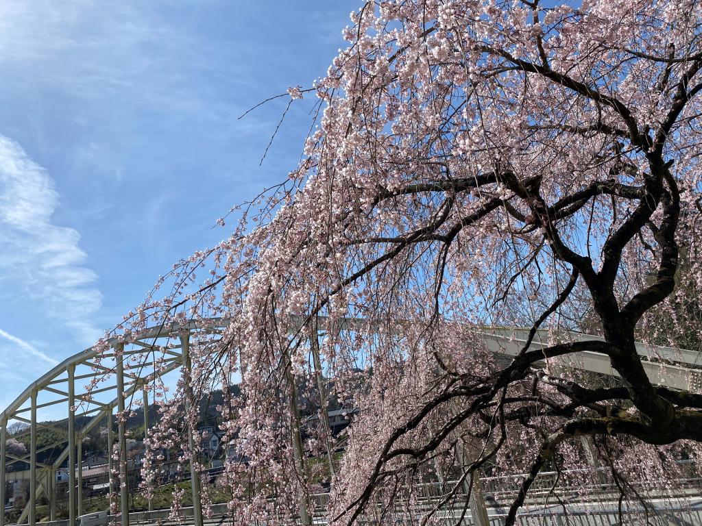 長野県広っっ！！