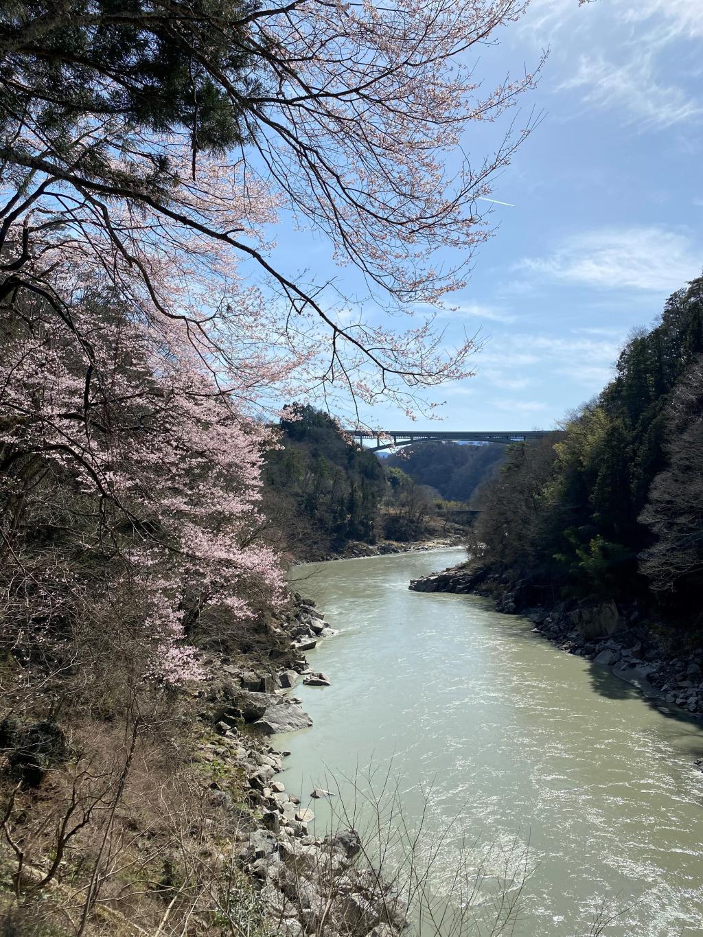 長野県広っっ！！