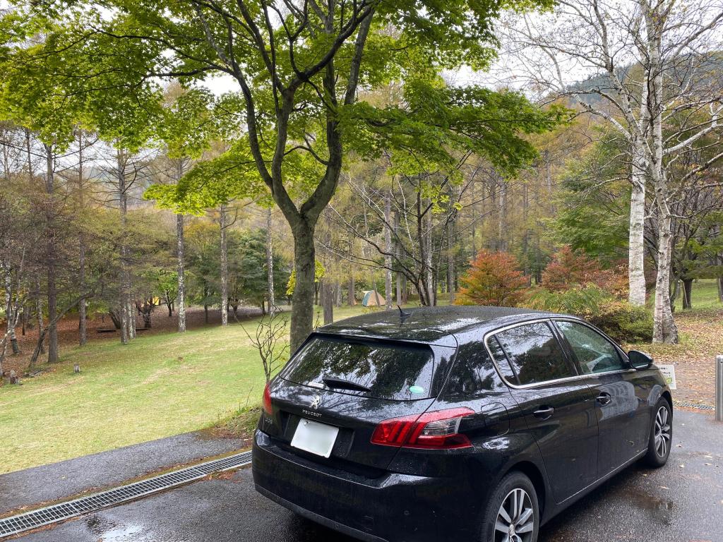 秋田犬とオジサンが寄り添う休日。