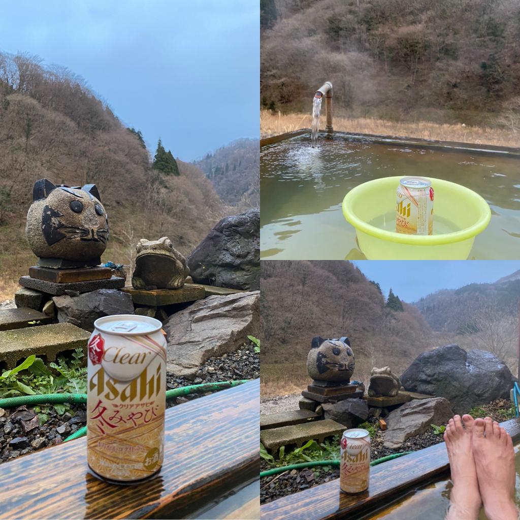 小谷の山奥に花を植えたのはワタシです(*´▽｀*)