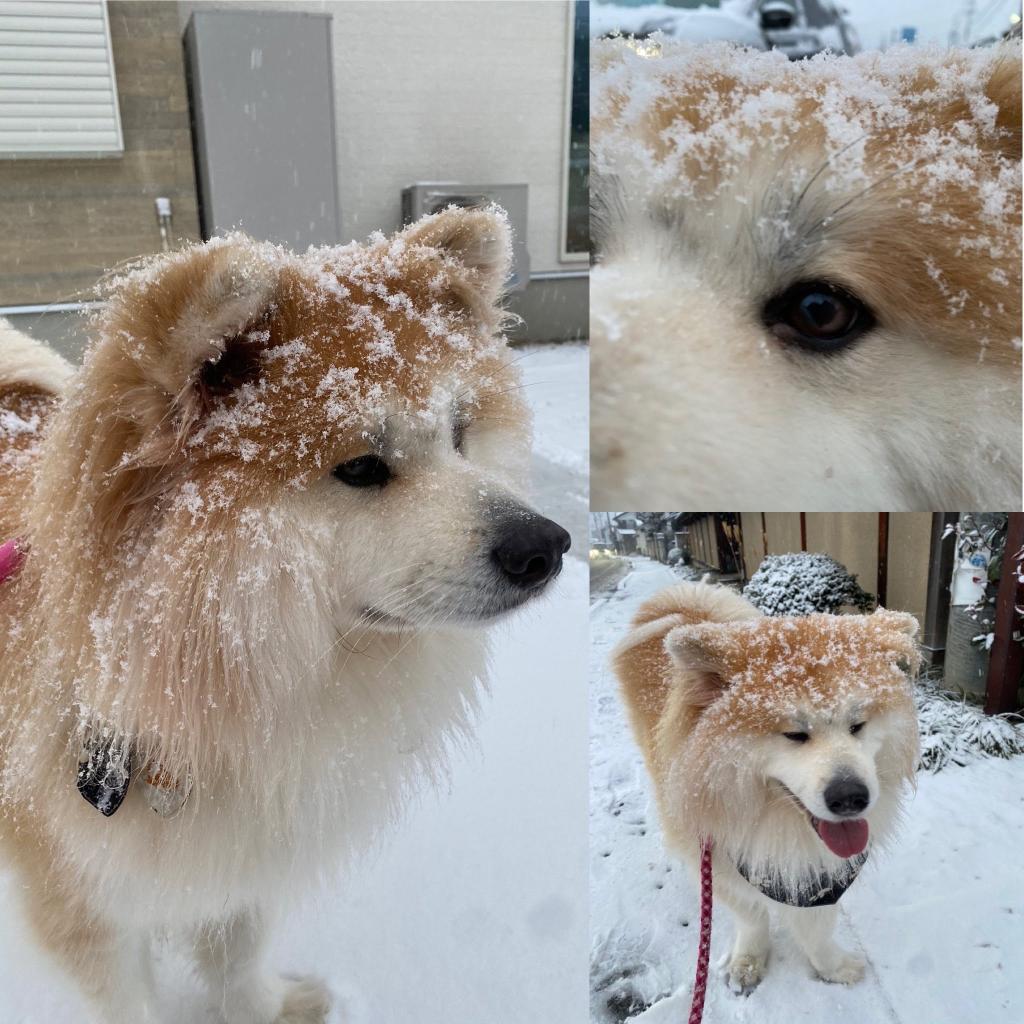 今週末はチャンスです(*´▽｀*)！！！