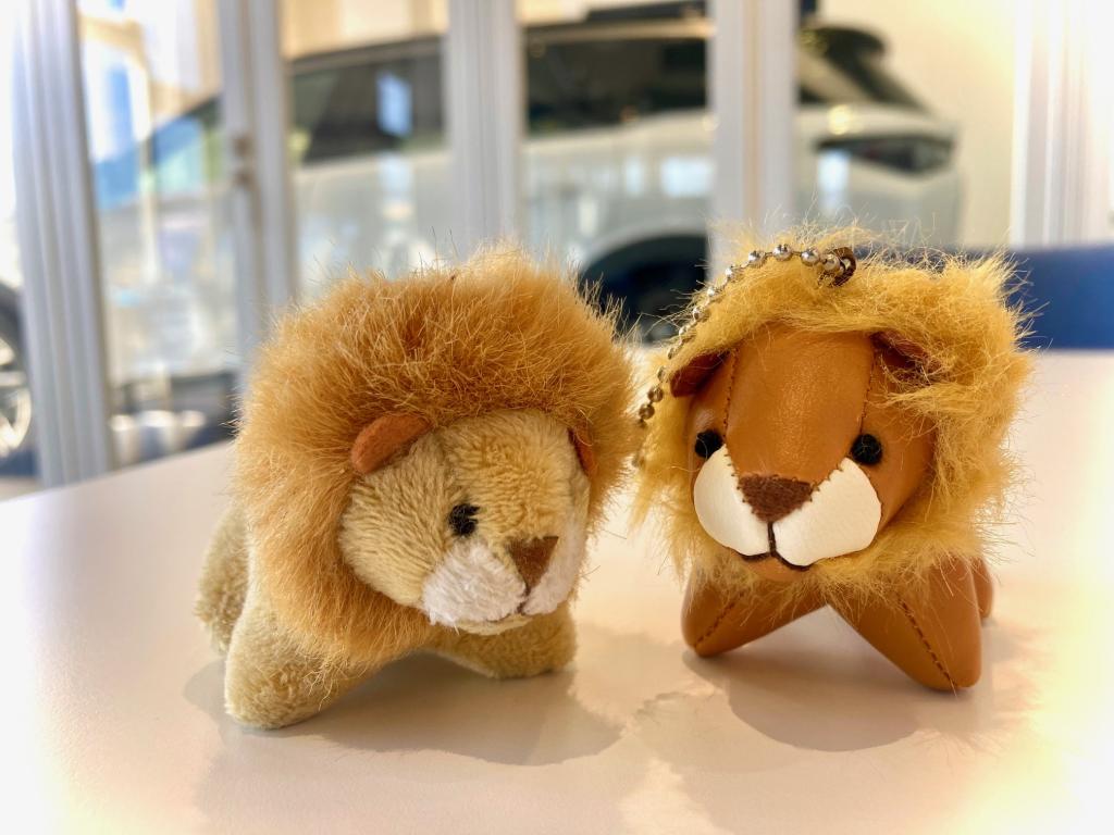 おひさしぶりであります